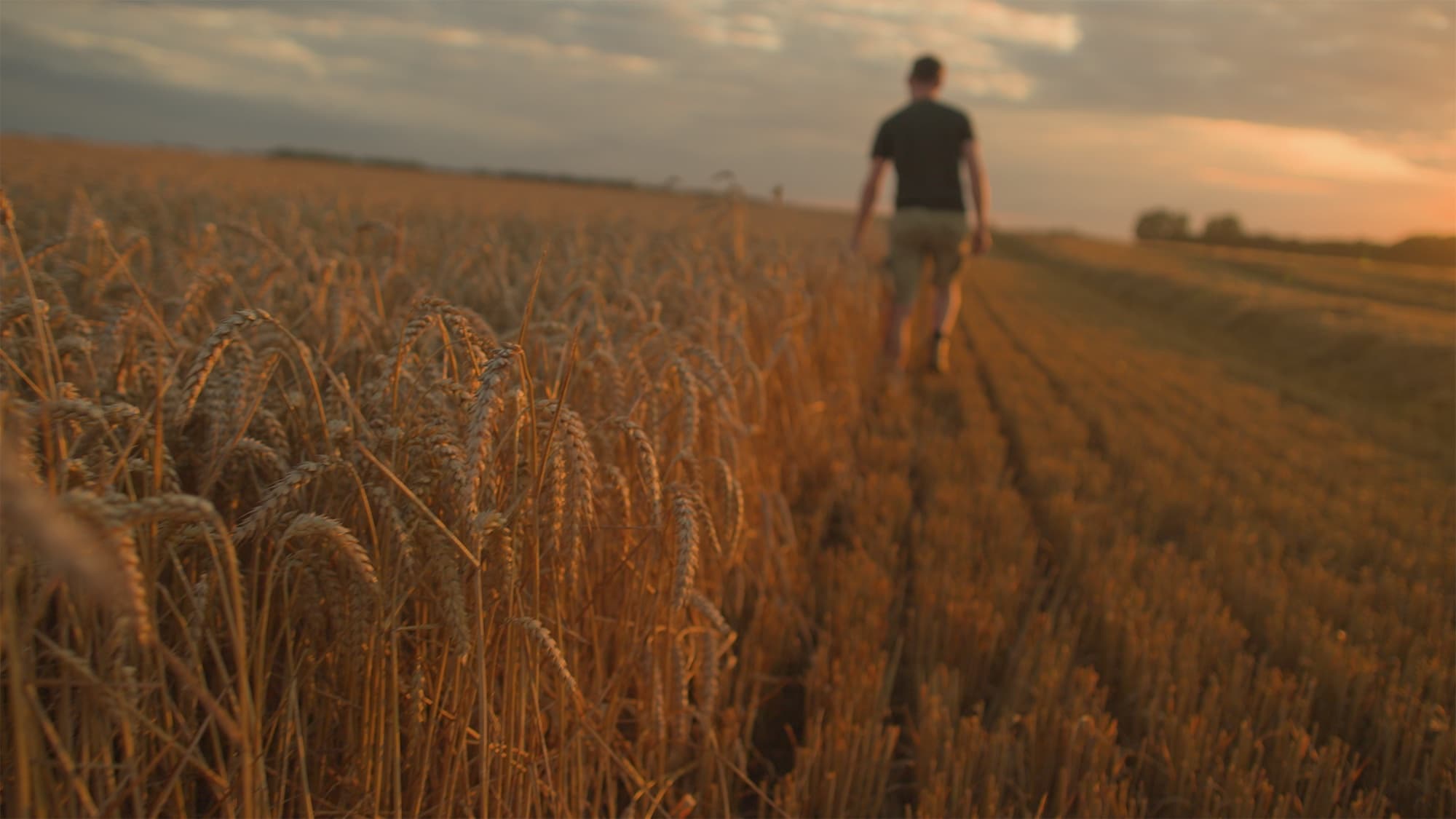 An image of AgreenaCarbon Combined Project